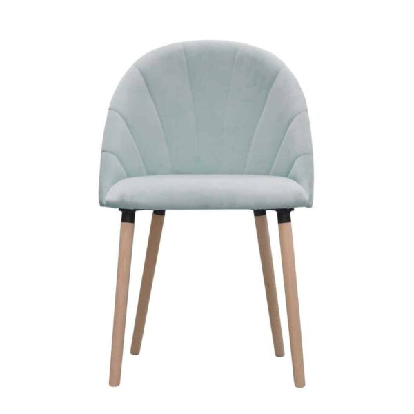 Krzesło Ariana, french velvet 679, surowe (1)