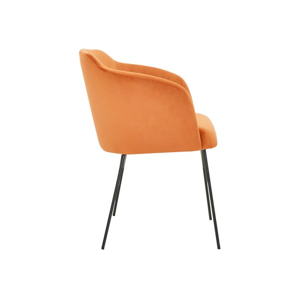 Clio spider armchair