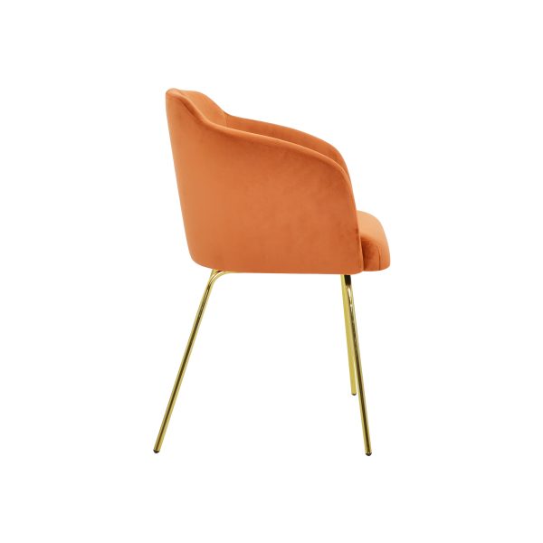 Clio ideal gold Armchair