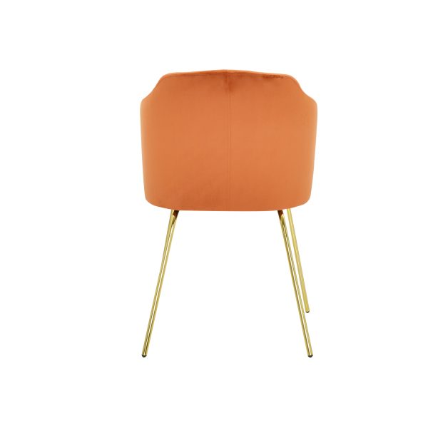 Clio ideal gold Armchair