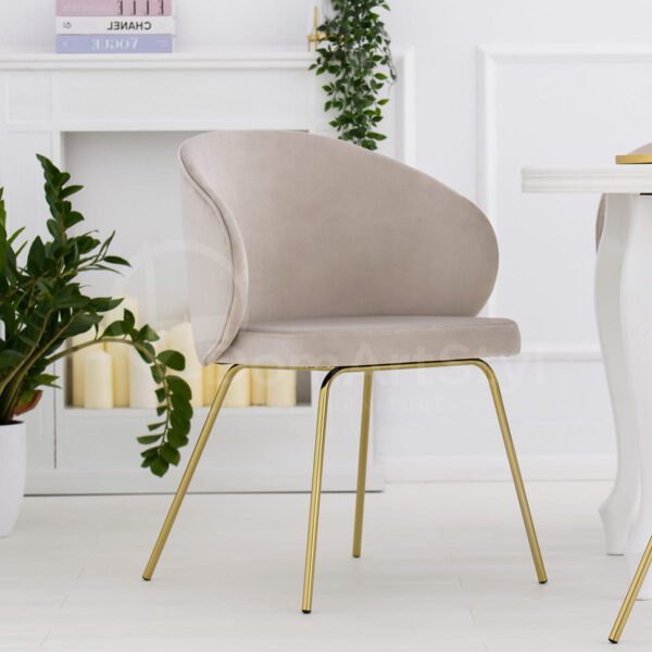 Modern cream velvet dining chair Altura Ideal Gold