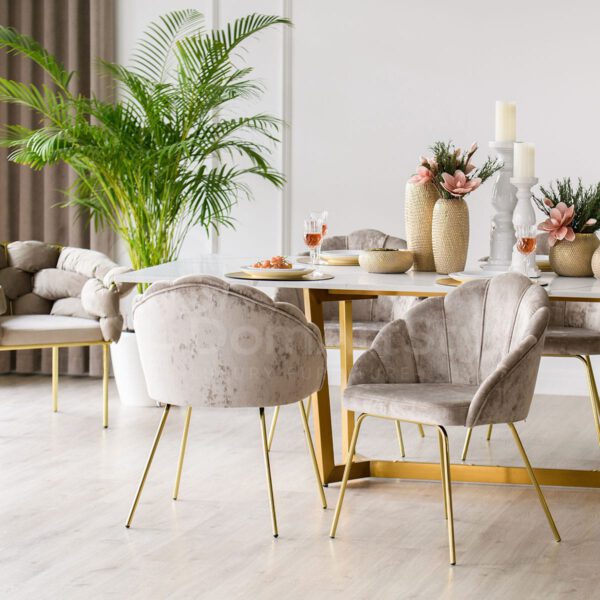 Modern armchairs on gold legs for the Tulip Ideal Gold dining room