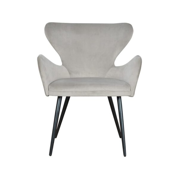 Modern gray velor armchair for the Paradise living room