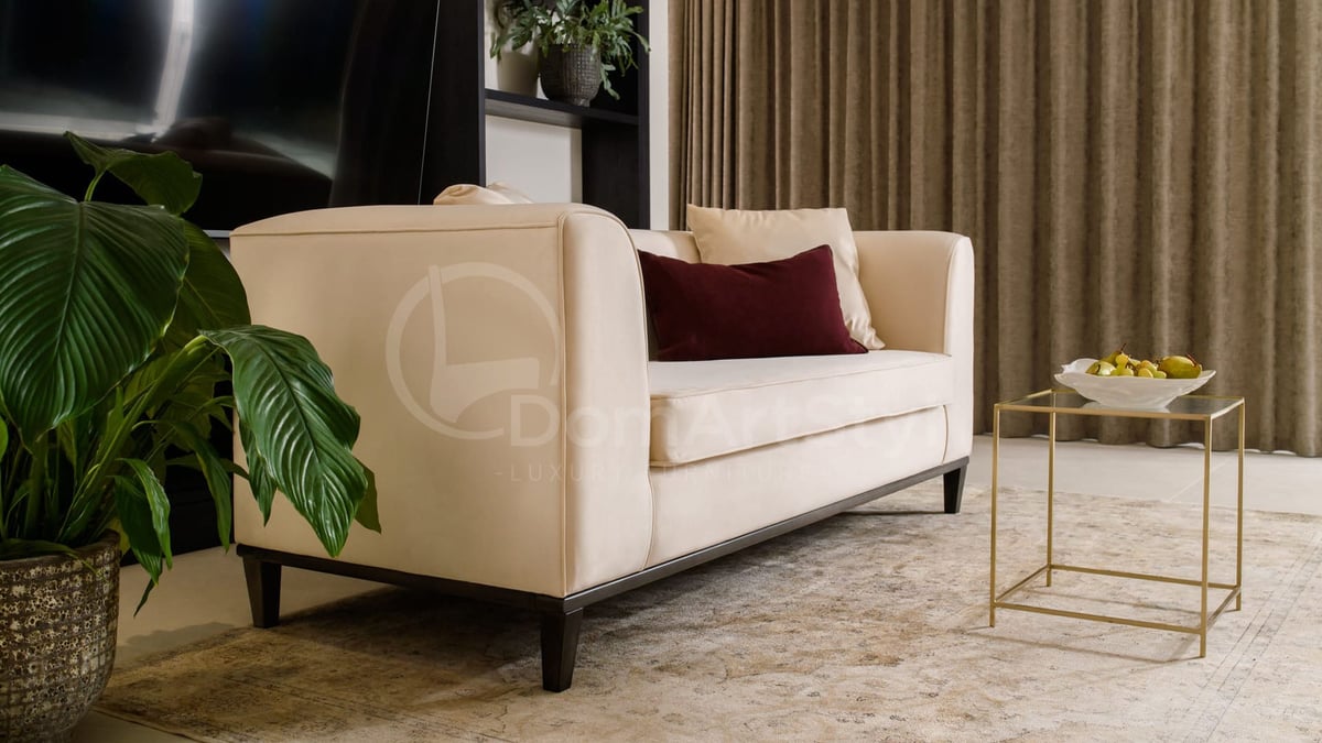 Modern sofa for the living room